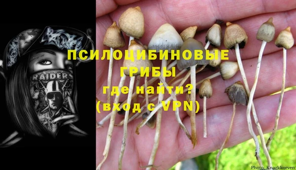 эйфоретик Алексеевка