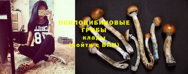 бошки Алзамай