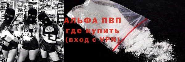 дживик Снежногорск