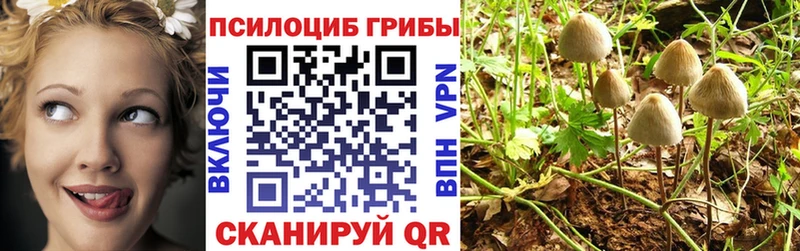 Галлюциногенные грибы ЛСД  Баймак 